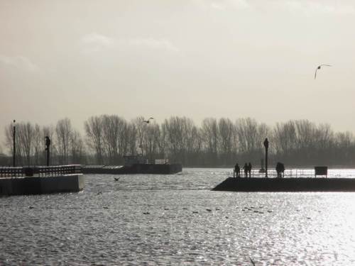 Auf der Elbe zieht ein Binnenschiff vorbei.