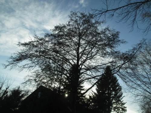 Zurück bei der Tostedter Haus-Erle.