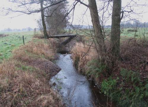 Kies- und Gerölldepots ermöglichen dem Bach nun, seine Sohle und Ufer selbst weiter zu strukturieren. Lebendige Strömung hilft.