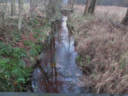 Leider Realität in den meisten unserer Bäche und kleinen Flüsse: Übertief ins Gelände eingeschitten, regelhaft gebaggerte Überbreite, öde Strömungs- und Lebensraumverhältnisse.