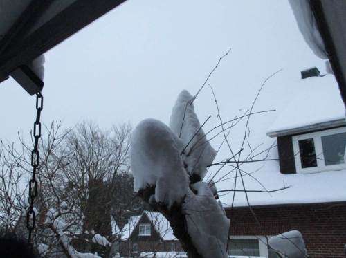 2016-01-06 - Zuckerhüte, revisited.