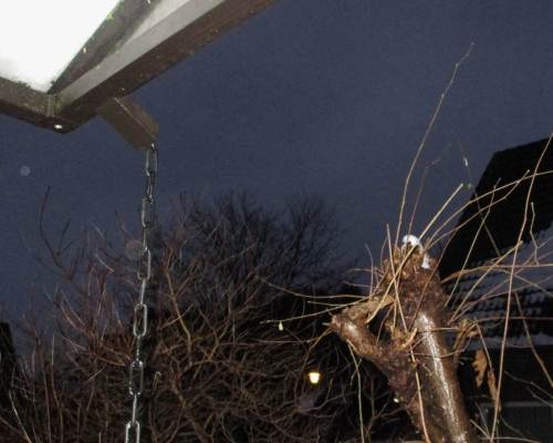 Der Morgen danach - heute. So ist der Winter im Norddeutschen Tiefland.