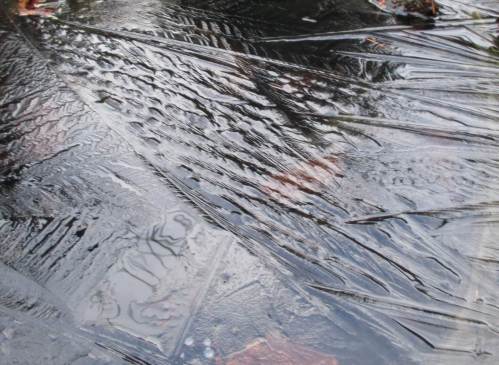 Man wundert sich, was Wasser so alles vorführt.