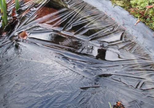 Diverse Formen können studiert werden.