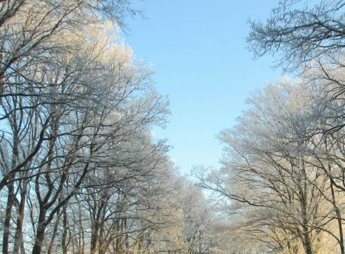 On tour - Ahorn-Allee entlang der B 75.