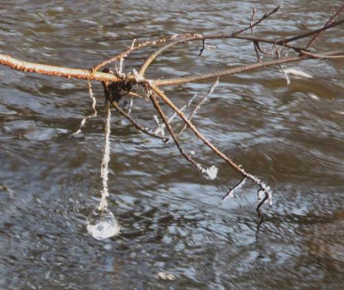 Eiskugel und -kristalle an der Seeve, Harmstorf.
