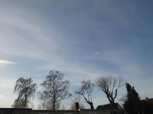 Unsere Sommerreifen liegen seit gestern in Wedel, auf baldigen Wechsel wartend. Foto: Baumkulisse am Gewerbegebiet.