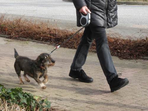 Socke von de Dreyster Drift sockt zum Auto. Schnell haben wir mit Hilfe guter örtlicher Fachlichkeit Telefon und Internet zugriffsbereit. - Dann können wir ja zurückfahren.