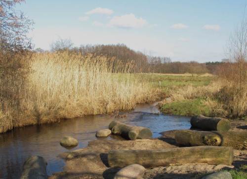 Restaurieren mit Kies, Steinen und Totholz - die Mischung macht`s.
