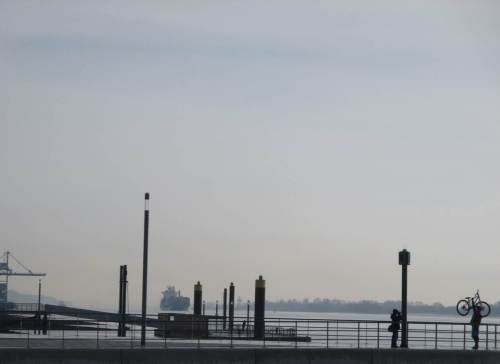 Radtouristen und ein kleinerer Containerfrachter - zwei Welten und mehr treffen sich an der Unterelbe.