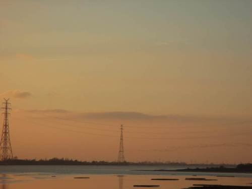 Im Bereich der Strommasten bei Stade fliegen weitere Gänseschwärme an.