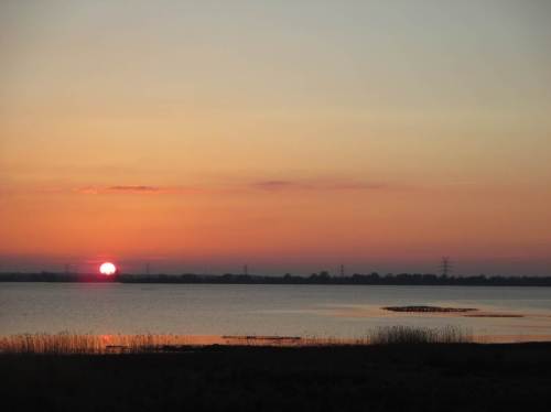 Offenbar mögen Gänse es dicht beieinander im Übernachtungsquartier.