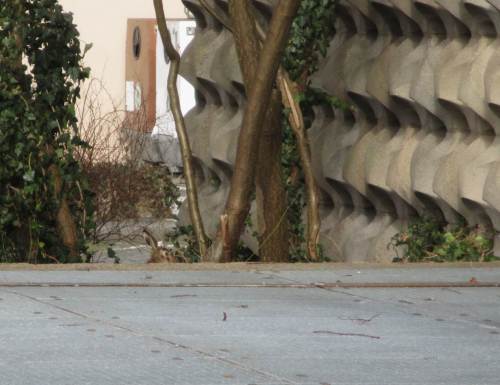 Und, gucken Sie bitte genau hin, mitten in der Stadt - ein früher Osterhase!