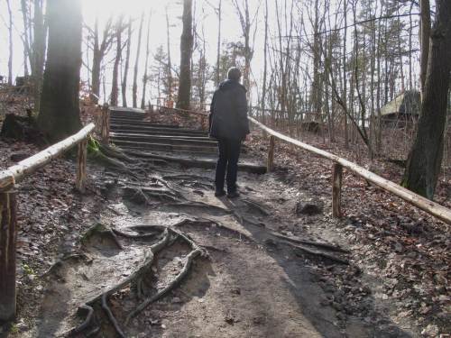 Und immer wieder beeindruckend: Ersionsschutz durch (malträtierte) Baumwurzeln.