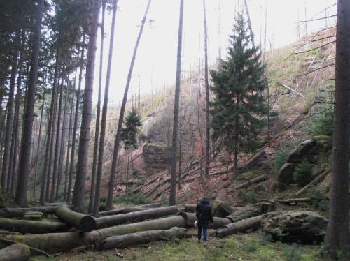Anfangs waren wir wohl nicht auf dem rechten Weg.