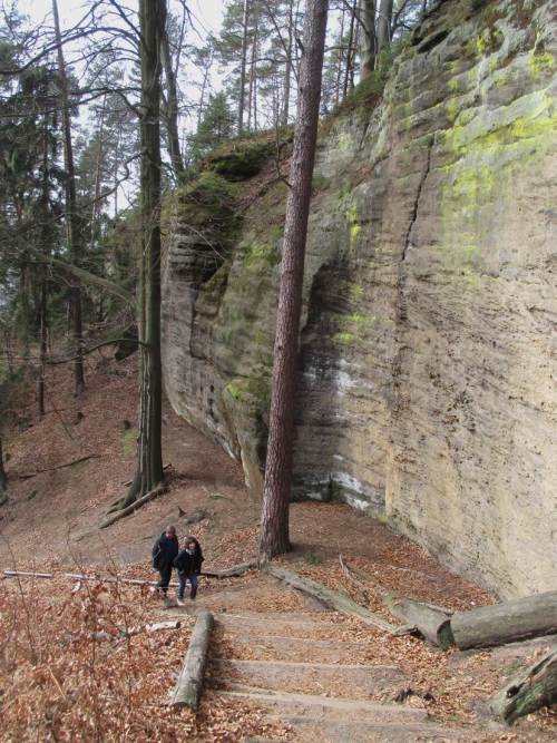 Von meinen Wanderbegleitern wurde mir eine gute Kraxlkondition bescheinigt. :-) Da freut sich der alte Mann.