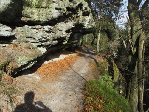 Wenn wir jetzt nicht im Hellen an`s Ziel kämen - würden wir unter diesem Felsüberhang übernachten, auf Sandbett mit Buchenblätterdecke?! - Wohl eher nicht.
