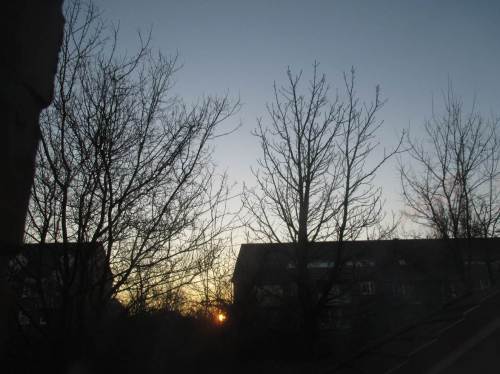 Der Sonnenaufgang vom Arbeitszimmer aus bekräftigt meinen Entschluss - heute geht`s zur Carl Zeiss Vogelstation in die Wedeler Marsch.