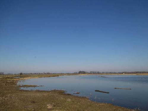 Große Flach- und Tiefwasserflächen sind bei der Kleientnahme für den Deichbau entstanden.