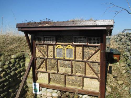 Umweltbildung - nicht nur über die Vogelwelt, hier: ein Insektenhotel.