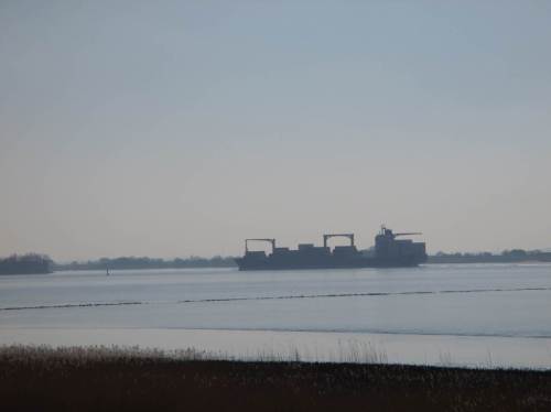 Schnell rübergeguckt und unten weiter geradelt - ah, ja, ein mittlerer, kaum beladener Containerfrachter fährt gen Hamburger Hafen.