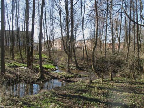 Vom Umfeld her, hier im Schenefelder Stadtgebiet, zeigt die Düpenau gute Voraussetzungen, schnelle flächenhafte Besiedlung zu ermöglichen - nach Restaurieren.