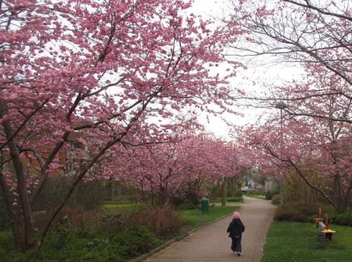 Unter solch einem Dach lässt sich prima von Spielgerät zu Spielgerät wandern.