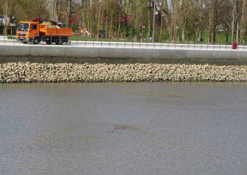 Der frische Südostwind treibt aufgewühltes, entmischtes schwimmfähiges Material ans nördliche Hafenende.