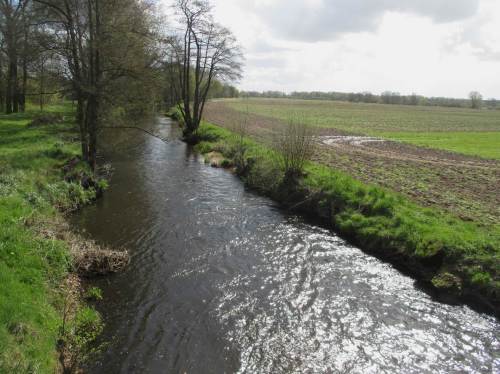 Grund unserer Anfahrt war allerdings der Restaurierungsversuch mit "Hölzchen & Stöckchen", mit dem eine verbliebende Erlengruppe vor dem Verschwinden gerettet werden sollte.