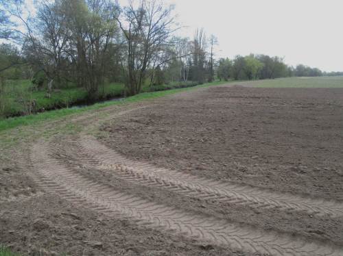 Beeindruckt zeigen sich die Exkursionsteilnehmer regelhaft über die Beispiele deutscher Agrar-Subvention. Besonders, wenn wie hier in einem FFH- und Naturschutzgebiet intensivster Ackerbau bis auf die Gewässeroberkante praktiziert wird.