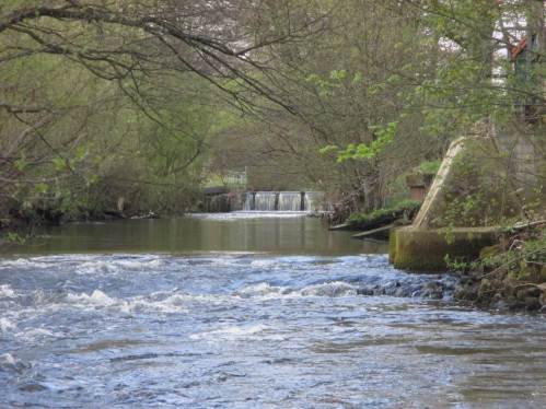 Seeve Maschen: Seeve-Wehr, durch Tiefenerosion entstandener Strömungsabriss am Fischpass, vorn die verschärfte Strömungssituation an der Fußgängerbrücke - leicht aufzufangen durch abwärts anzulegende Rauschen aus Kies/Geröll.
