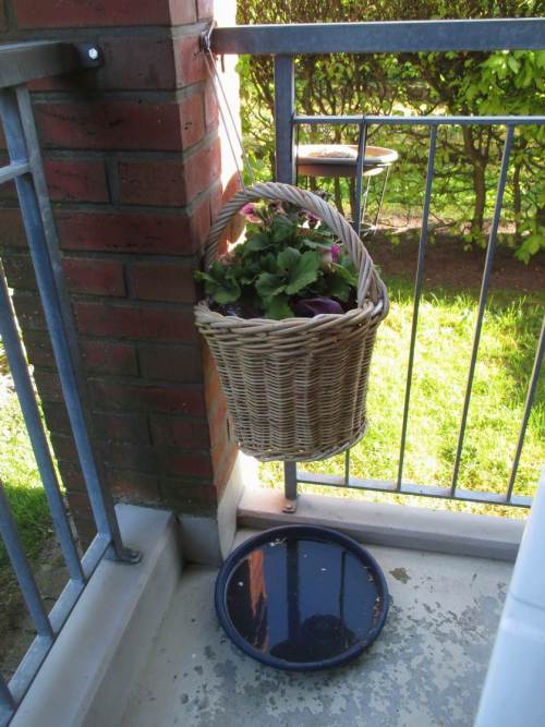 Vogelbad- und Vogeltränke - leicht auch am Balkon anzubieten.