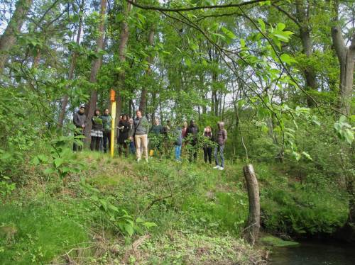 Blick von der Geestkante in die Este-Aue an der Querung der Nordeuropäischen Erdgasleitung - nächstes Foto.