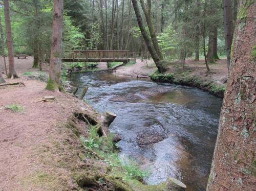 An einer jahrelang als Kies-Depot, zur Umlagerung des Kieses durch die Este, genutzten Stelle hat sich ein optimales Strömungsbild mit Kolk-Rausche-Abfolgen und hervorragenden Laichplätzen entwickelt.