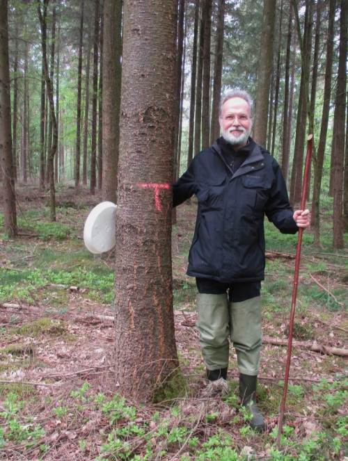 Antwort auf eine regelhaft gestellte Frage bei Walddurchquerungen: Nein, die mit "T" gekennzeichneten Bäume gehören nicht mir, dies ist nicht mein "claim". T steht für so etwas wie "track" - vielleicht einfach "Trasse". Hier bewegen sich die modernen Holzgewinnungsmaschinen auf vorgegebenen Trassen zum Nutzholz, um möglichst wenig Schaden im Gelände anzurichten.