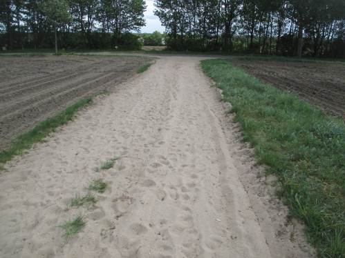 Bodenentmischung - feinster Strandsand auf dem landwirtschaftlichen Weg - talwärts.