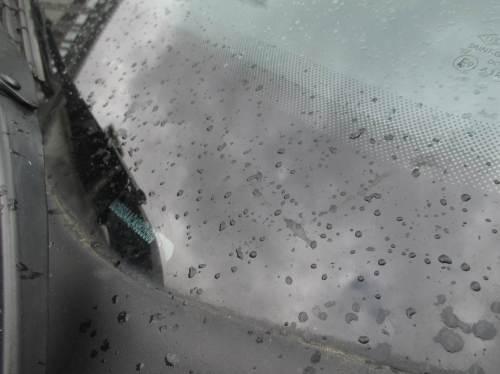 Offenbar wird guter Gewässereinsatz von Petrus belohnt. Wieder hatten wir prima Exkursionswetter, Regentropfen zeigen sich erst nach Abschluss der Veranstaltung.