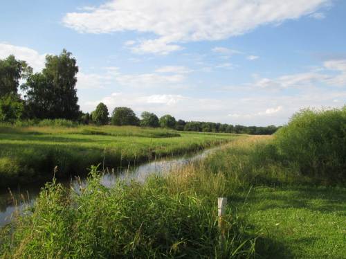 Bilsbek im Abendlicht - nanu, die fliesst ja falschrum! Ach - Tidegebiet, wir liegen kurz vor Tidehochwasser.