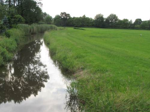 Wieder am Auto - der Weissstorch läuft noch immer durch die Aue. Ein paar dicke Sachen hat er sich, wie wir erleben durften, inzwischen einverleibt.