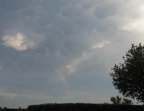 Regenbogen östlich Richtung Hamburg - da war wohl schon was.