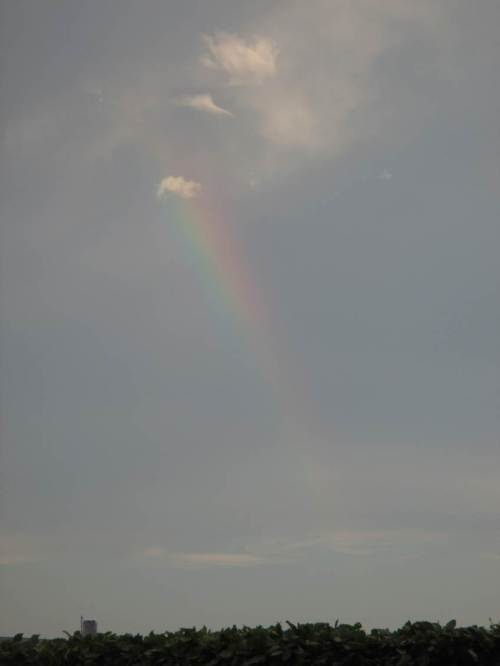 Ist das nicht der Fingerzeig, hier und heute anständiges Gewässerrestaurieren zu beginnen?