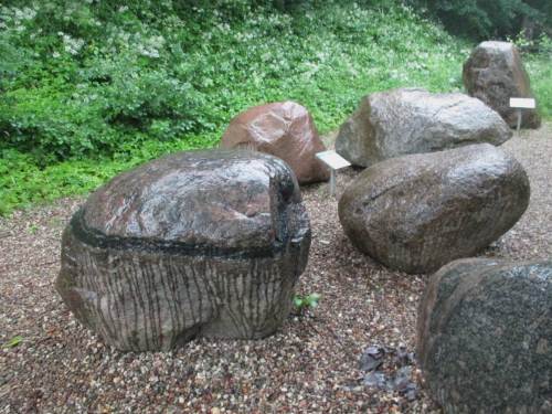 Schön nass und schön bunt, Stein-Schönheiten im Findlingsgarten. - Bei Trockenheit wird der Farbeindruck durch Besprühen mit Wasser hervorgeholt.