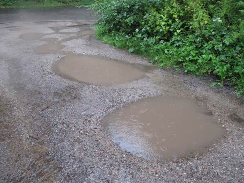 Seenlandschaft, von Fliessgewässern durchzogen - Parkplatzzufahrt zur Liether Kalkgrube, ein Modell für die Nordamerikanischen Seen.