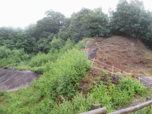 Pflanzensukzession schützt unsere Böden trefflich. Hier sollen aber Geo-Besonderheiten präsentiert werden. Scharfe Beweidung eignet sich für das Freihalten der wichtigen Flächen.