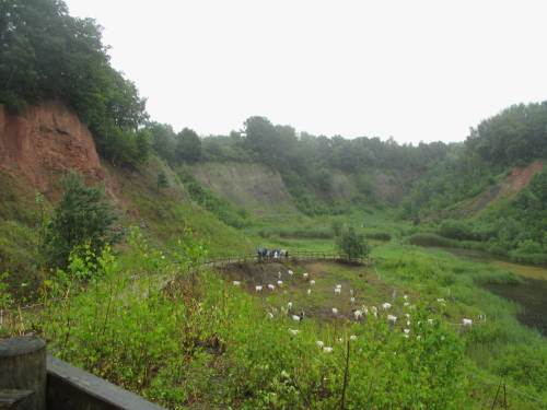 Nachdem wir das Ende der Gewitterfront abgewartet haben, können wir die Grube in Ruhe besuchen.