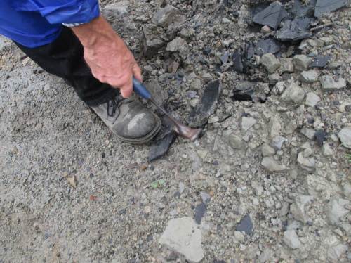 Nicht eingegangen bin ich in diesem Beitrag auf die ausgezeichnete fachmännische Erläuterung all dessen, was sich in der Liether Kalkgrube bietet, sei es Geologisches, Botanisches oder Zoologisches. - Dazu verweise ich auf den o.g. Link, viel besser noch: auf eigene Teilnahme an diesen empfehlenswerten Führungen.
