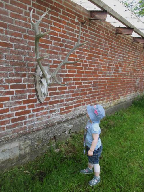 Wir sind zu früh, das Haus macht in 10 Minuten auf - da gucken wir uns mal im Freigelände um.