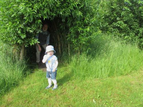 Solch Weidengänge, -dome, -kreise haben immer ihre eigene Faszination.