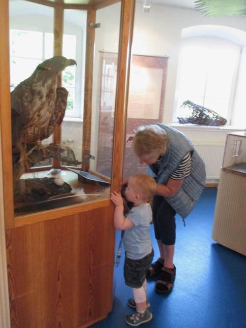 Oooh, Adler, riesige Adlerfeder und, unten, eine Libelle - sehr interessant.