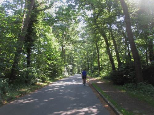 Grot Sahl - immer weiter bergan, begeistert vom kühlenden, lichten Schatten der Bäume.